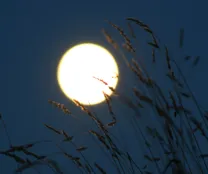 Der Mond ist aufgegangen (Foto: M.Barnbeck)